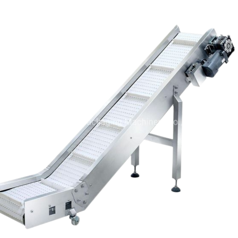 Pouch Conveyor